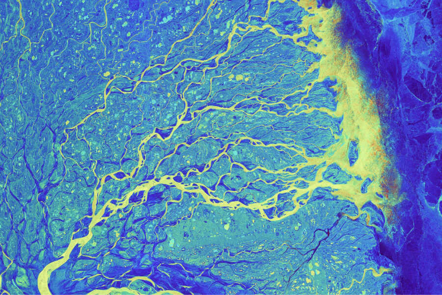 6 Repositories To Share Research Data Teamscope Blog